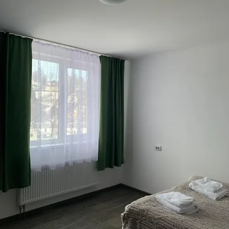 серце карпат Yasinya